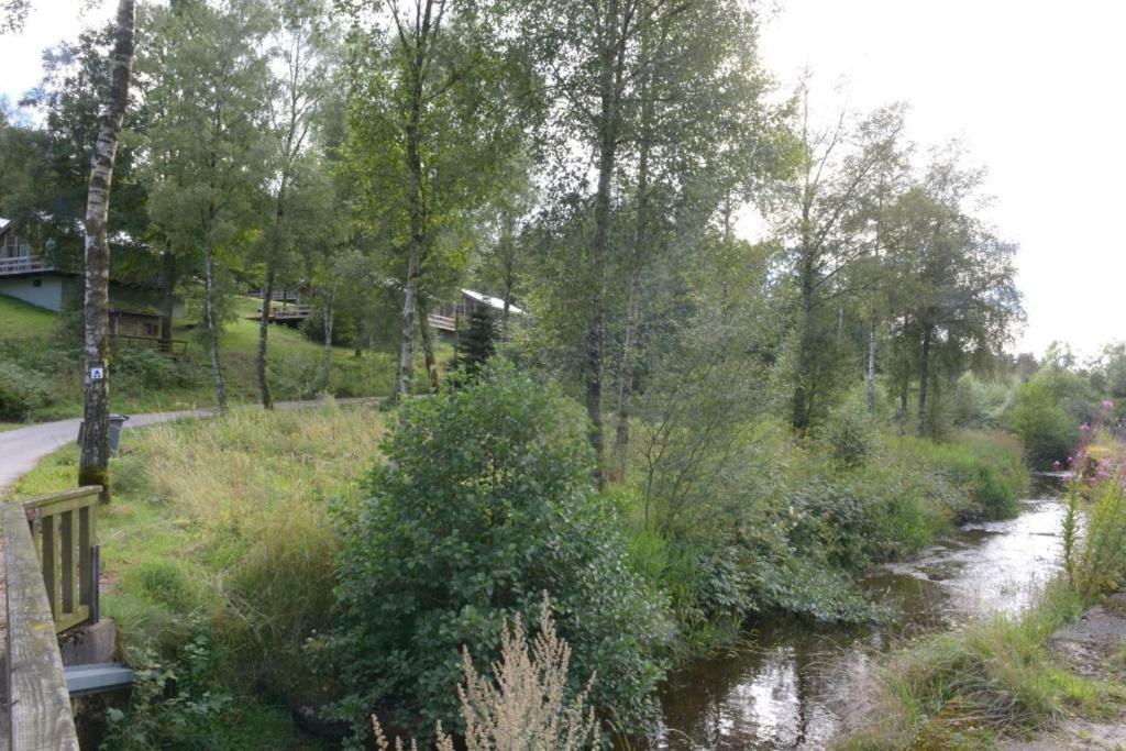 Chalet "A L Oree Du Bois" Bullange Exterior foto
