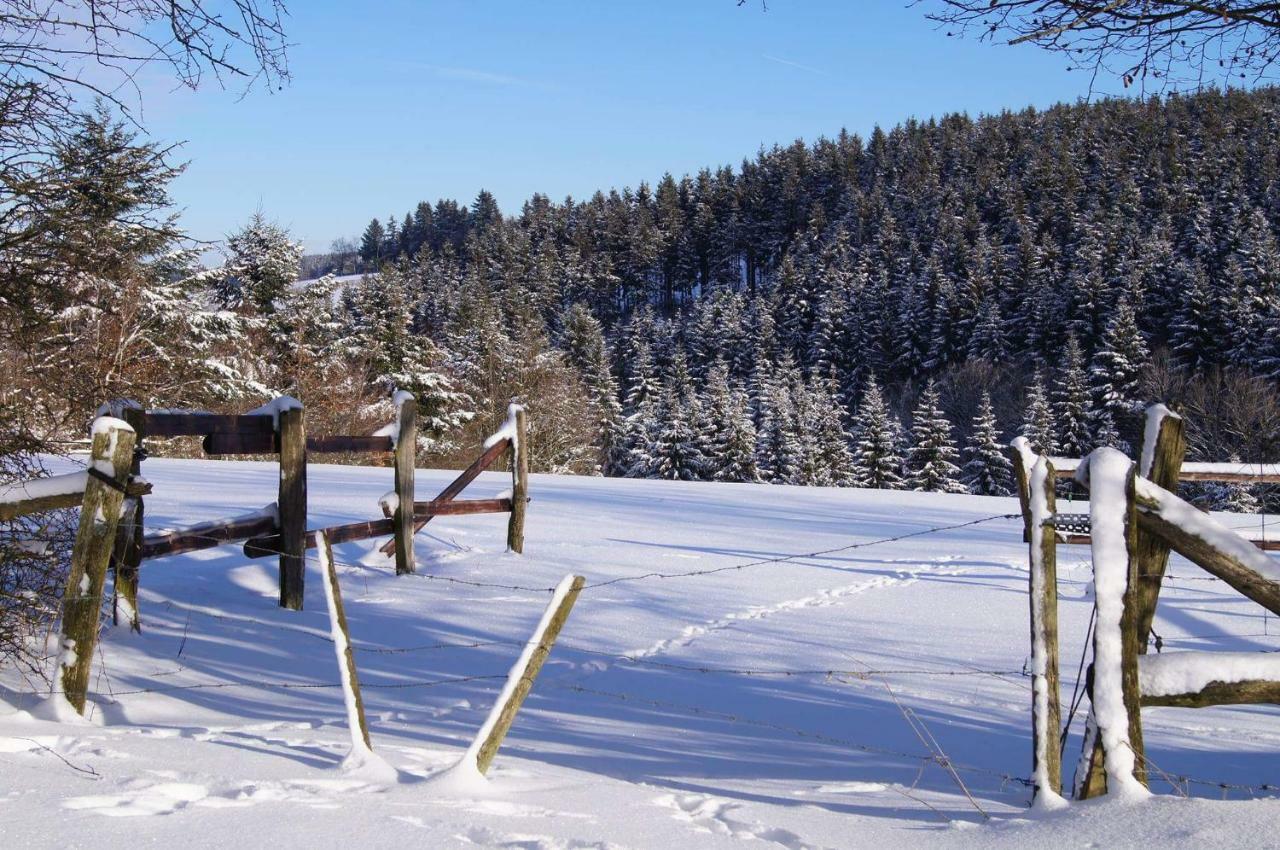 Chalet "A L Oree Du Bois" Bullange Exterior foto